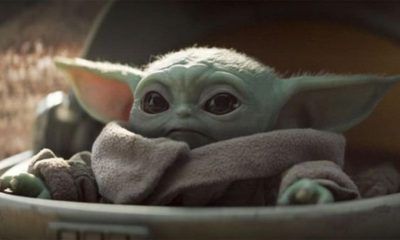 Yoda baby